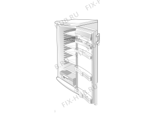 Холодильник Gorenje R6295AC (236348, HS2966) - Фото